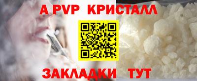 спиды Гагарин