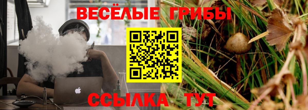 Галлюциногенные грибы мухоморы Павлово