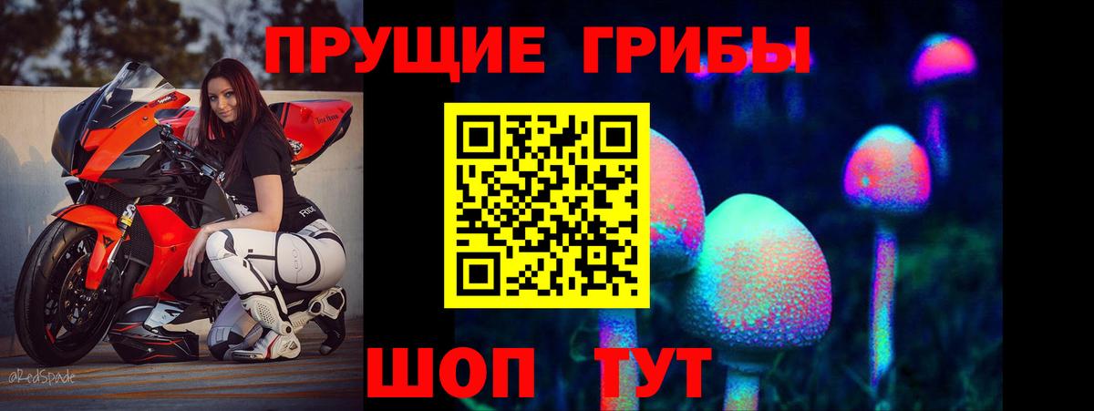 Павлово  Галлюциногенные грибы Psilocybe  Вход с VPN 